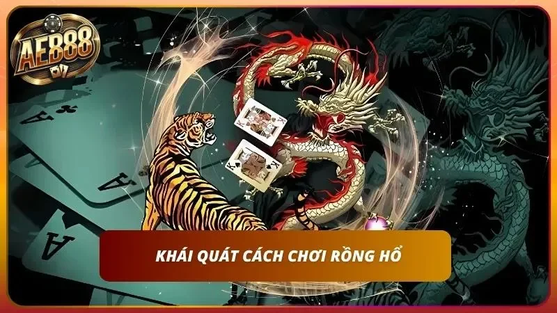 Sơ lược cách chơi Rồng Hổ đỉnh chóp