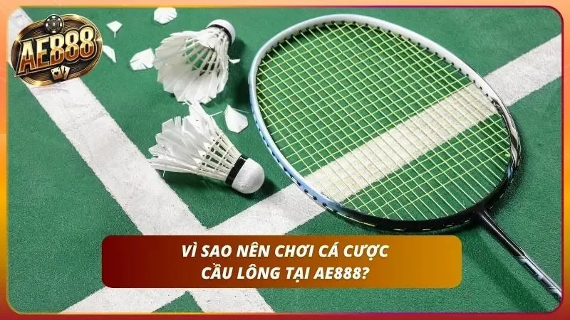 Lý do cá cược cầu lông của nhà cái nổi tiếng