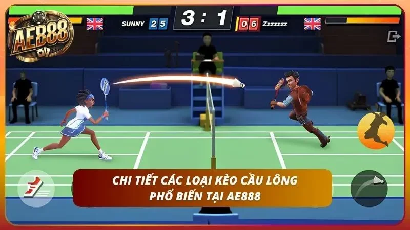 Tổng quan các loại hình phổ biến của nhà cái