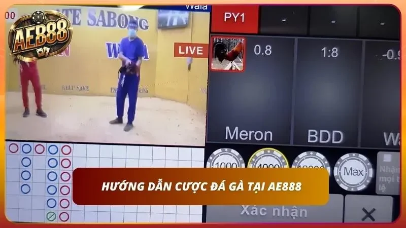 Tìm hiểu các bước để lên kèo một cách chuẩn xác và hiệu quả