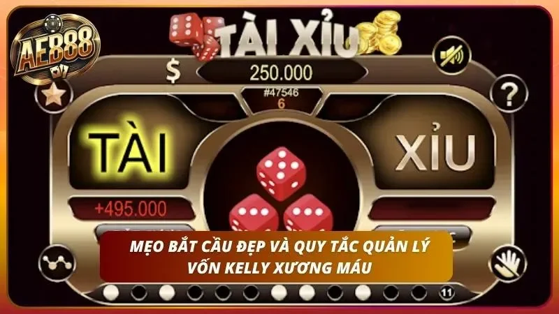 Chiến lược quản lý vốn Kelly giúp tối ưu lợi nhuận khi soi tài xỉu.