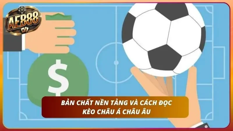 Thông số dữ liệu hiển thị các con số biểu thị tỷ lệ thưởng