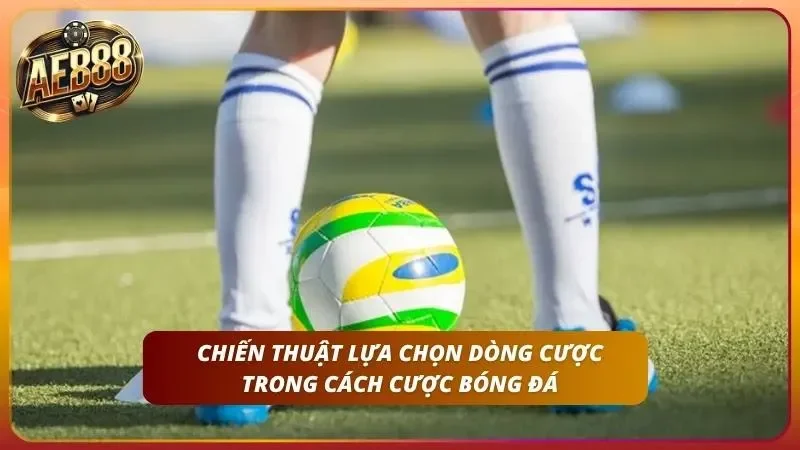 Mô hình phân tích tương quan lực lượng áp dụng trong việc chọn