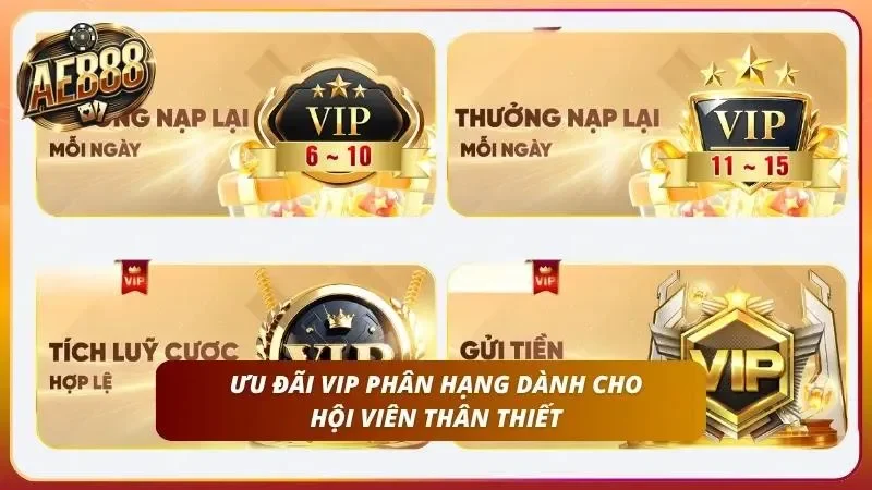 Đặc quyền vương giả thiết kế riêng biệt cho nhiều cấp VIP