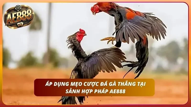 Toàn cảnh sới bạc góc rộng, phông nền được xử lý gọn gàng, không vật thể thừa.